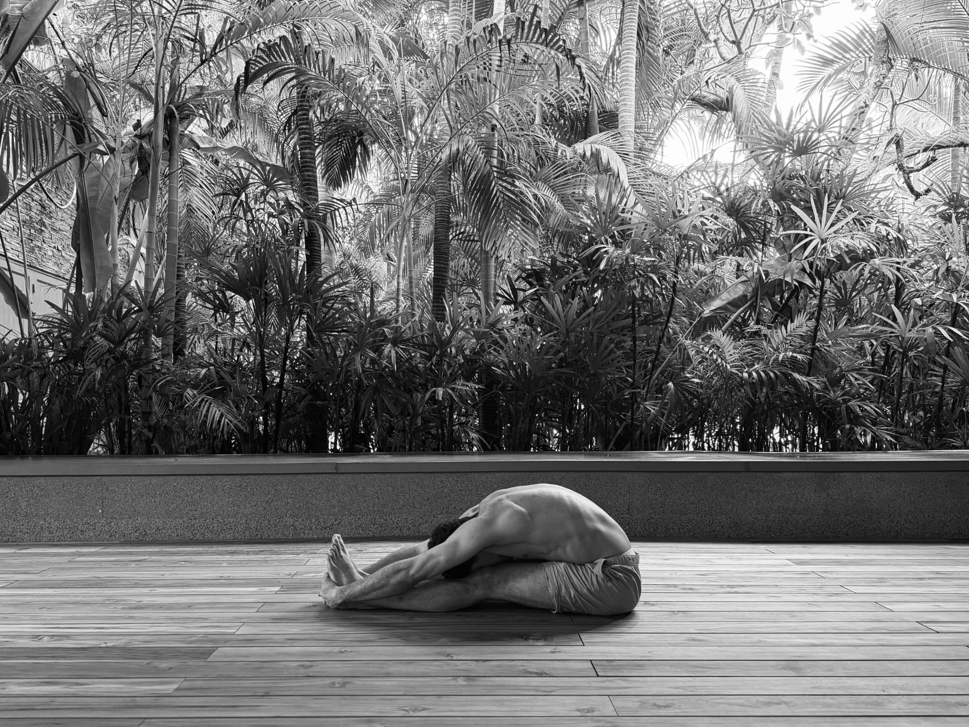 Paschimottanasana, the seated forward bend, practised on a wooden deck among palms
